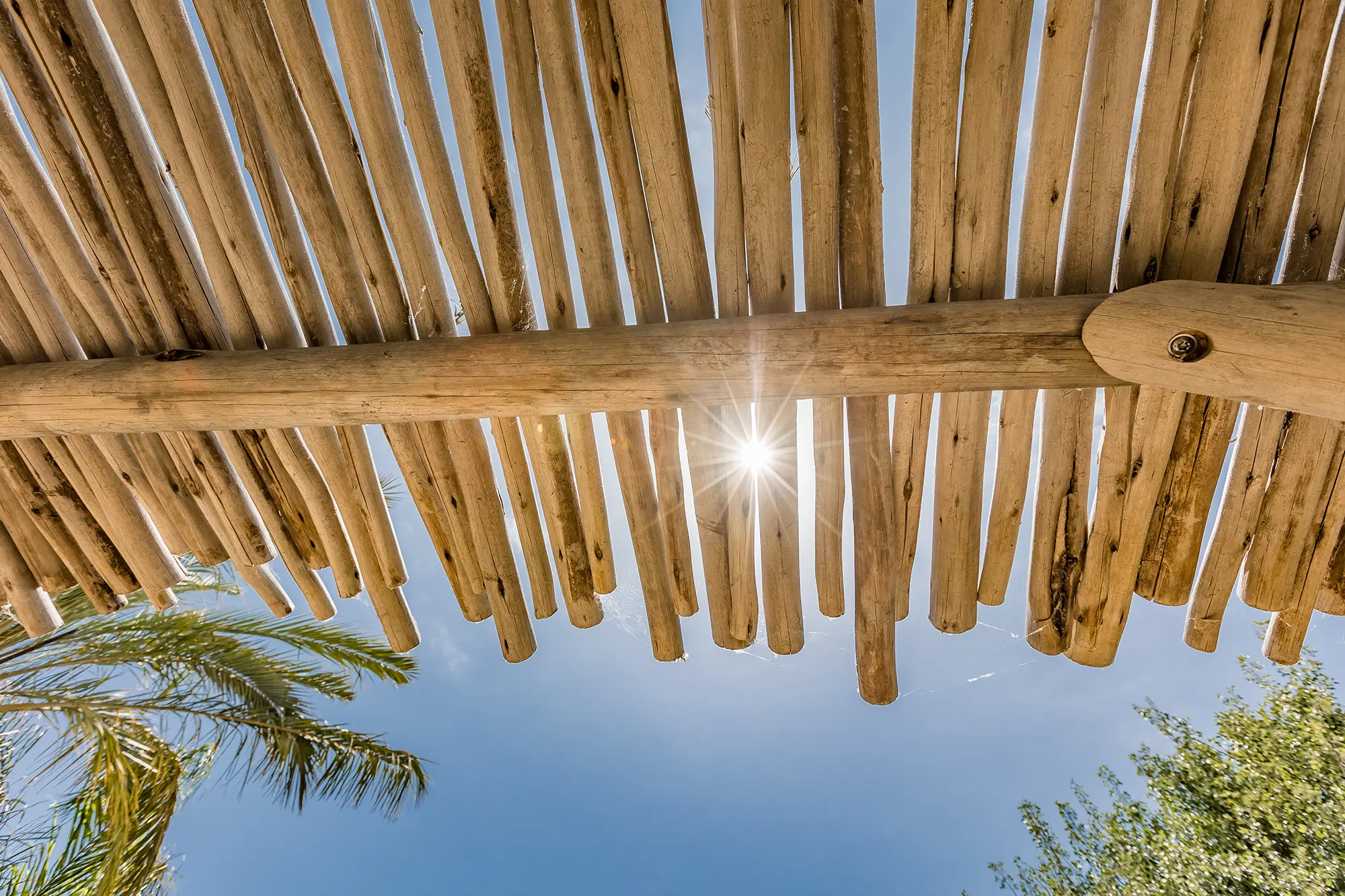 Pergola en eucalyptus